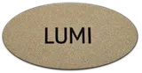 Engraved name badge